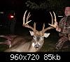 Click image for larger version

Name:	buck1.jpg
Views:	845
Size:	85.4 KB
ID:	12932