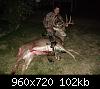 Click image for larger version

Name:	buck2.jpg
Views:	753
Size:	102.0 KB
ID:	12933
