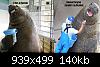 Click image for larger version

Name:	TheyBeStealinMyBucketSeal.jpg
Views:	381
Size:	139.5 KB
ID:	5684